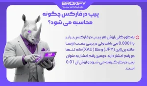 پیپ در فارکس چیست و چگونه محاسبه می شود؟ آموزش کامل ارزش هر پیپ (Pip) - پیپ