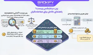 پیپ در فارکس چیست و چگونه محاسبه می شود؟ آموزش کامل ارزش هر پیپ (Pip) - پیپ