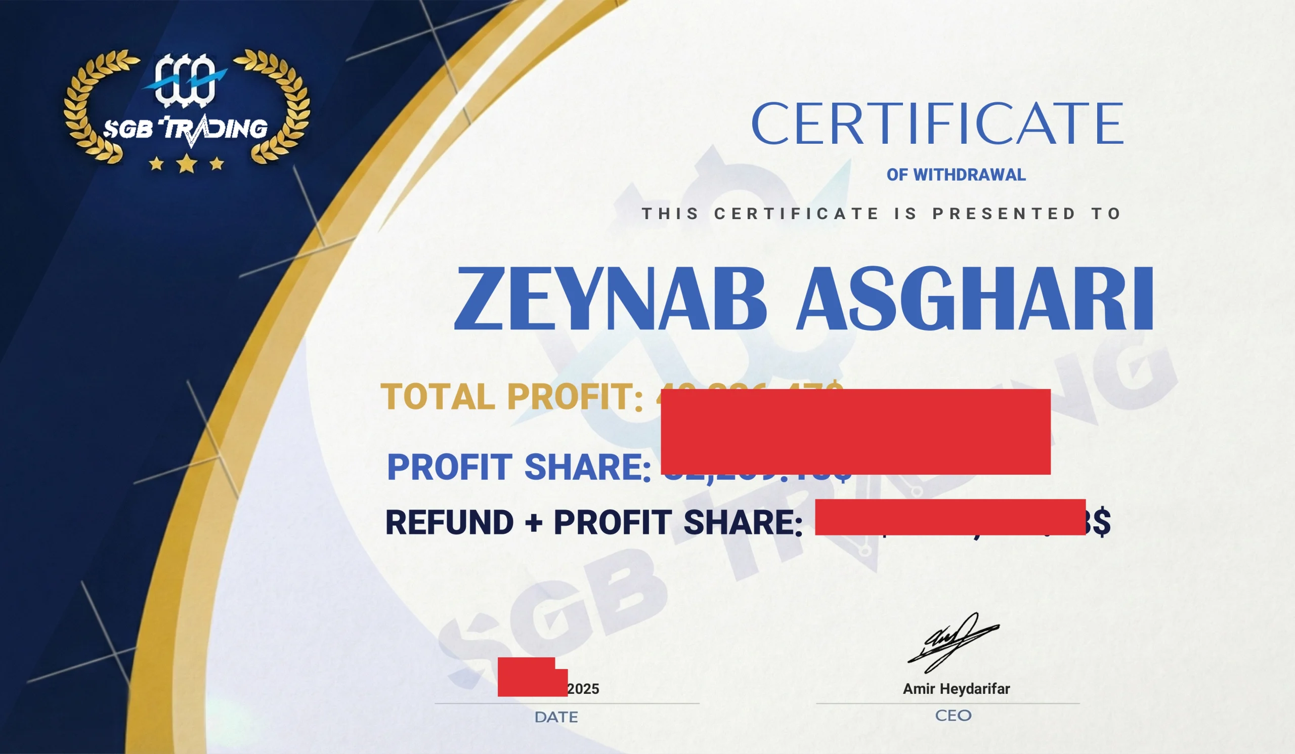 برداشت از سرمایه گذار برتر